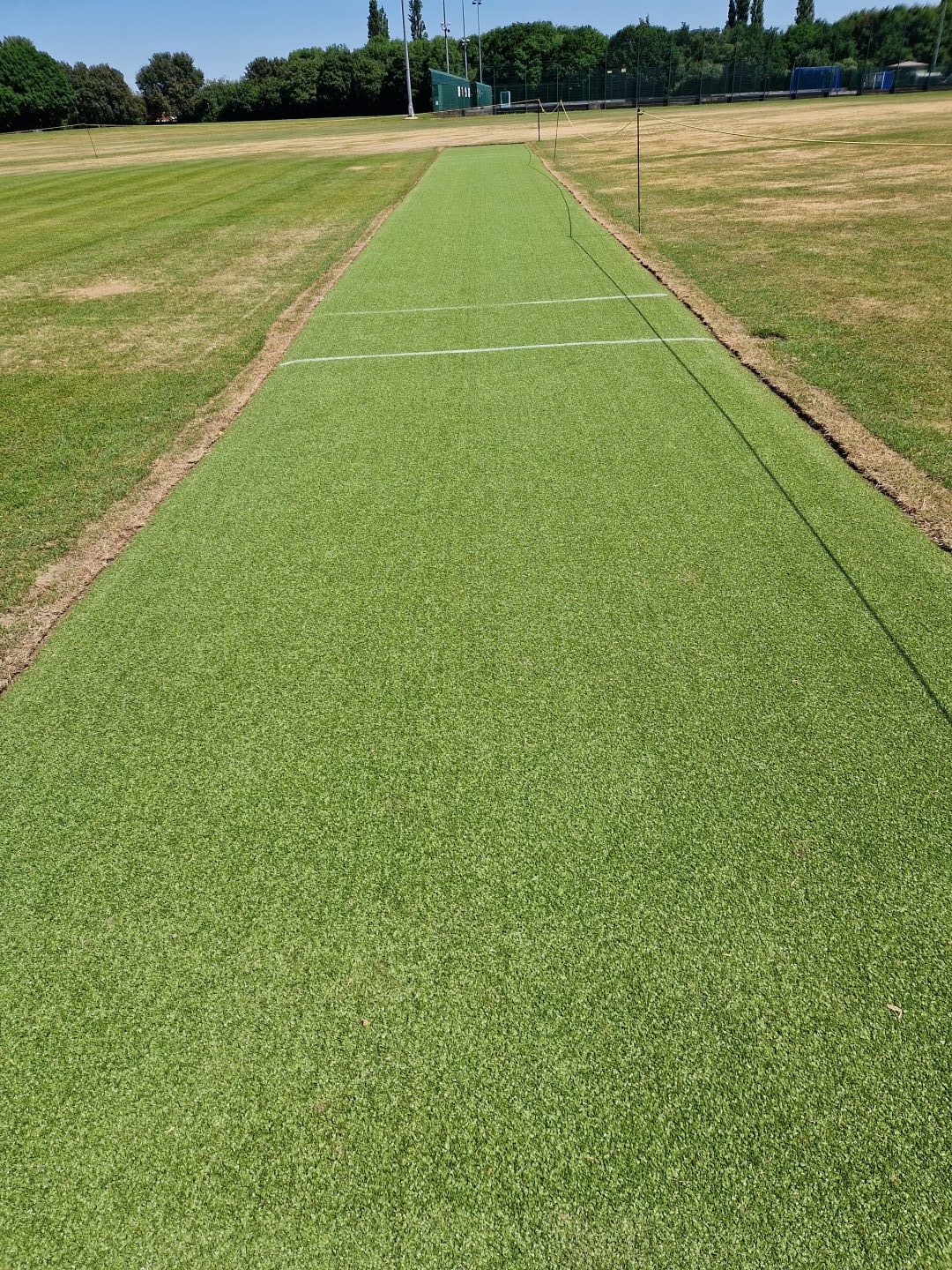 Cricket Wicket T10