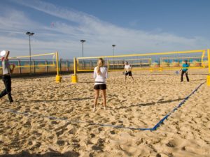 Yellowave Brighton Probeach Posts