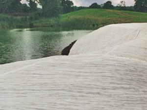 Large germination sheets on land next to a lake