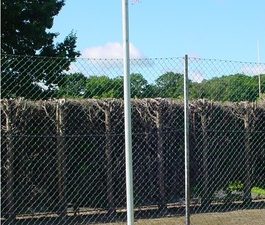Galvanised in-ground post with socket, thermoplastic-coated ring, and net
