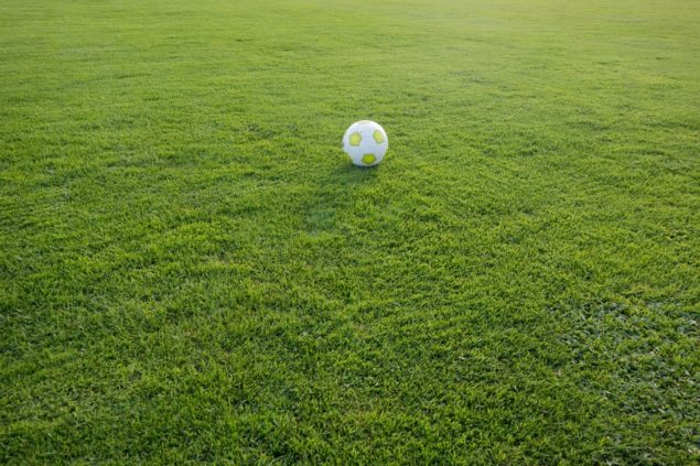 How to Use a Spiking Roller: Common Sports Ground Maintenance FAQs How to Use a Spiking Roller: Common Sports Ground Maintenance FAQs