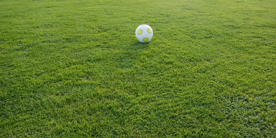 How to Use a Spiking Roller: Common Sports Ground Maintenance FAQs How to Use a Spiking Roller: Common Sports Ground Maintenance FAQs