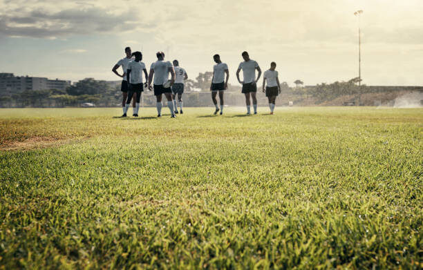 How to Manage Your Grass Rugby Pitch During Autumn and Winter How to Manage Your Grass Rugby Pitch During Autumn and Winter