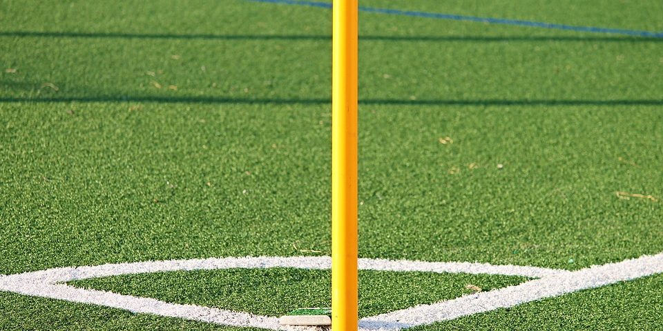 How to Maintain Artificial Grass How to Maintain Artificial Grass