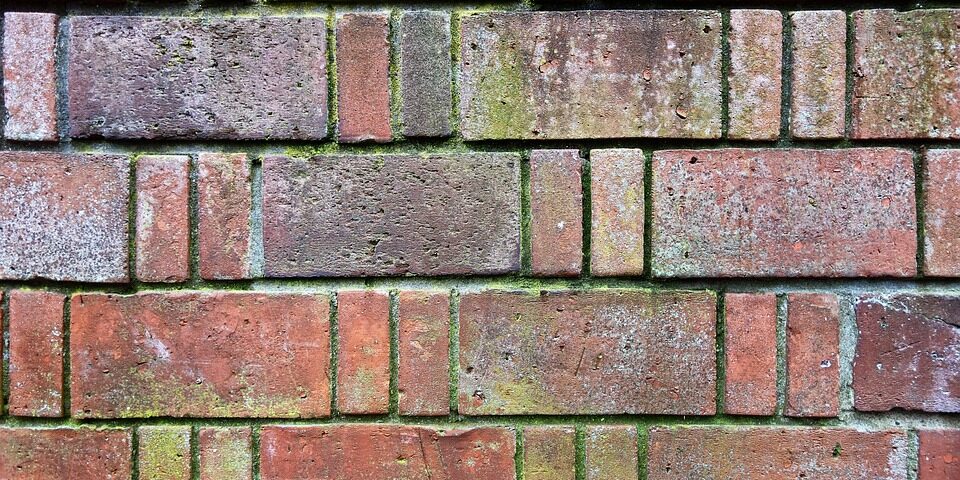 How to Prevent Moss from Growing on Older Buildings