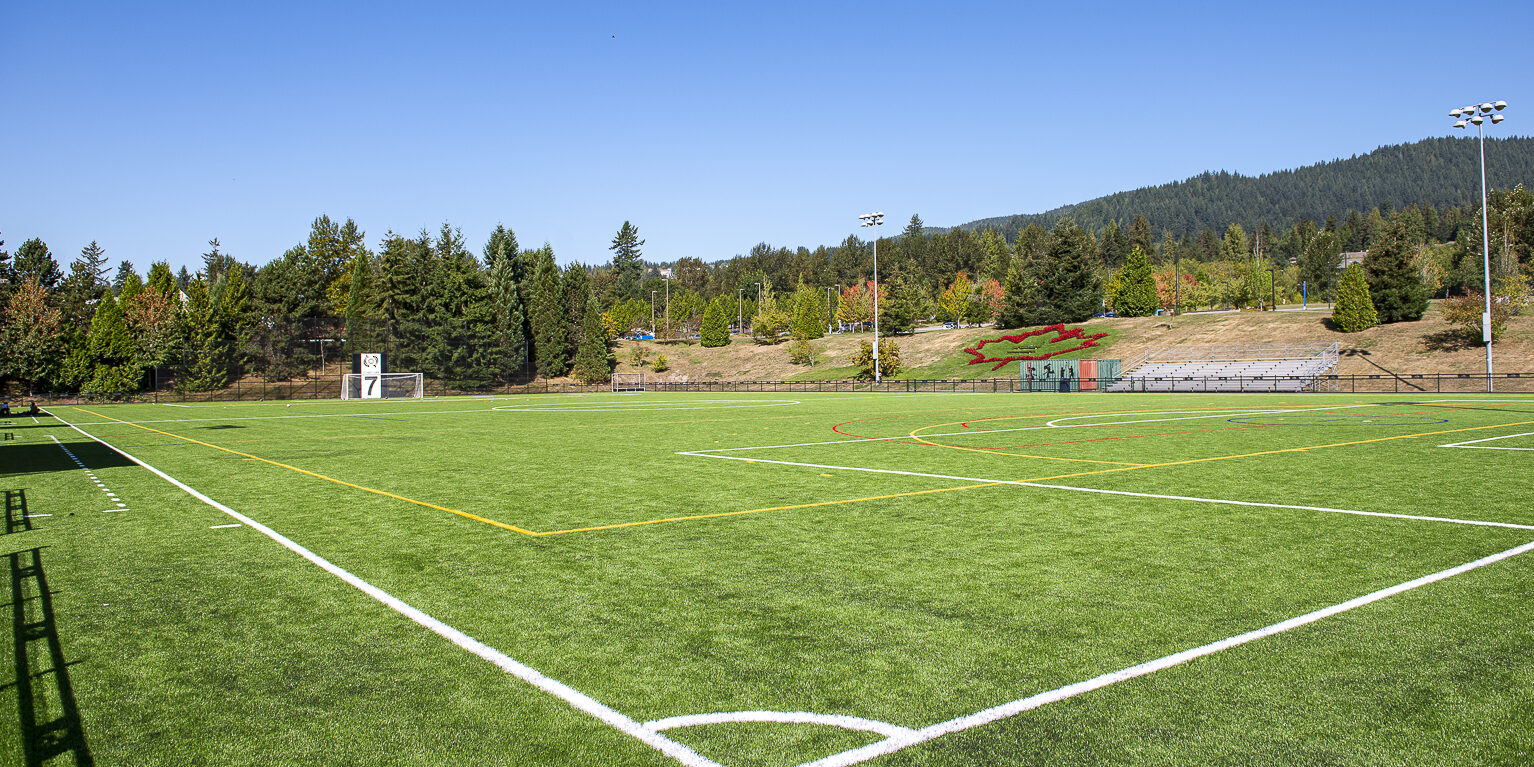 Managing Common Sports Field Problems