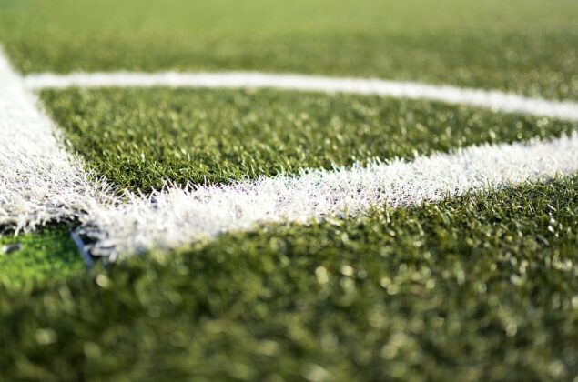 Tips For Maintaining Your Artificial Grass