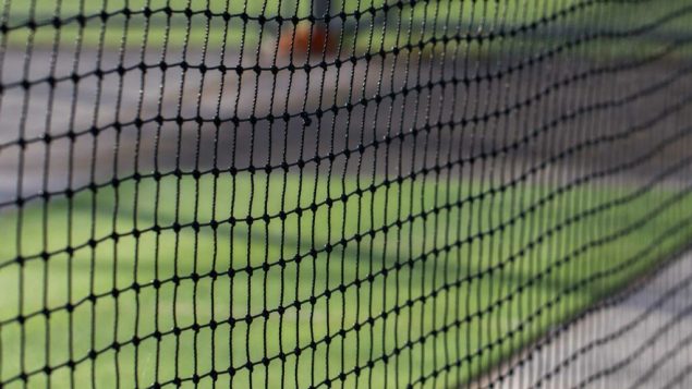 Choosing the Right Cricket Nets for Your Club