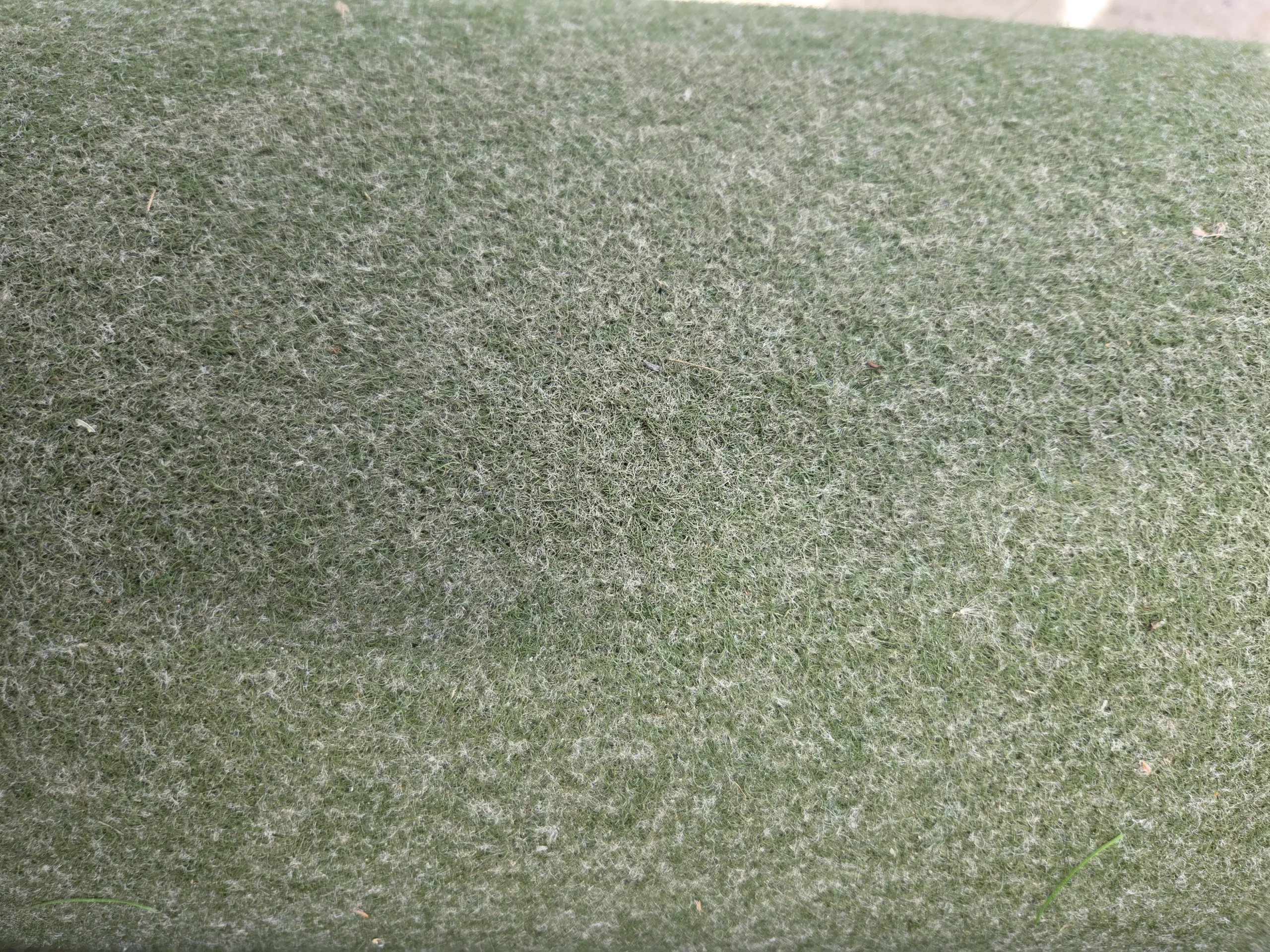 20260806_103559