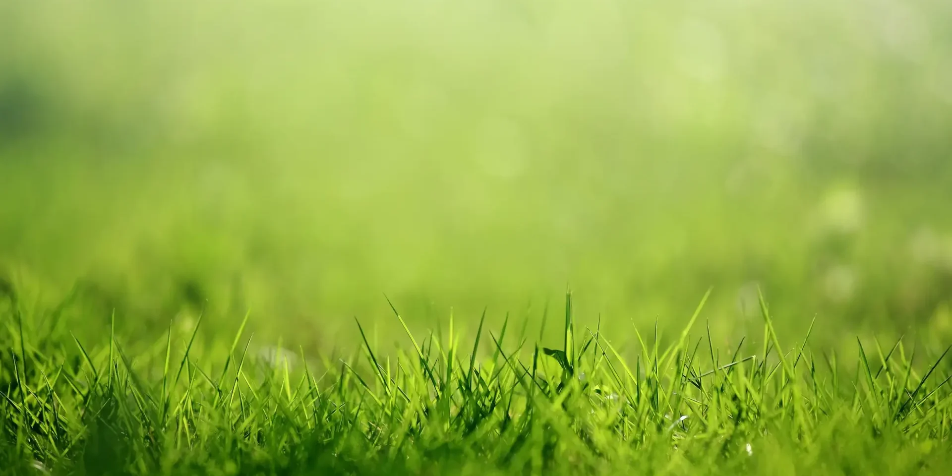 Why Every Groundskeeper Should Invest in a Sarel Roller